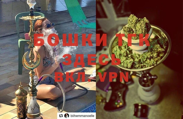 дурь Алексин