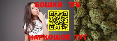 прущие грибы Заволжье