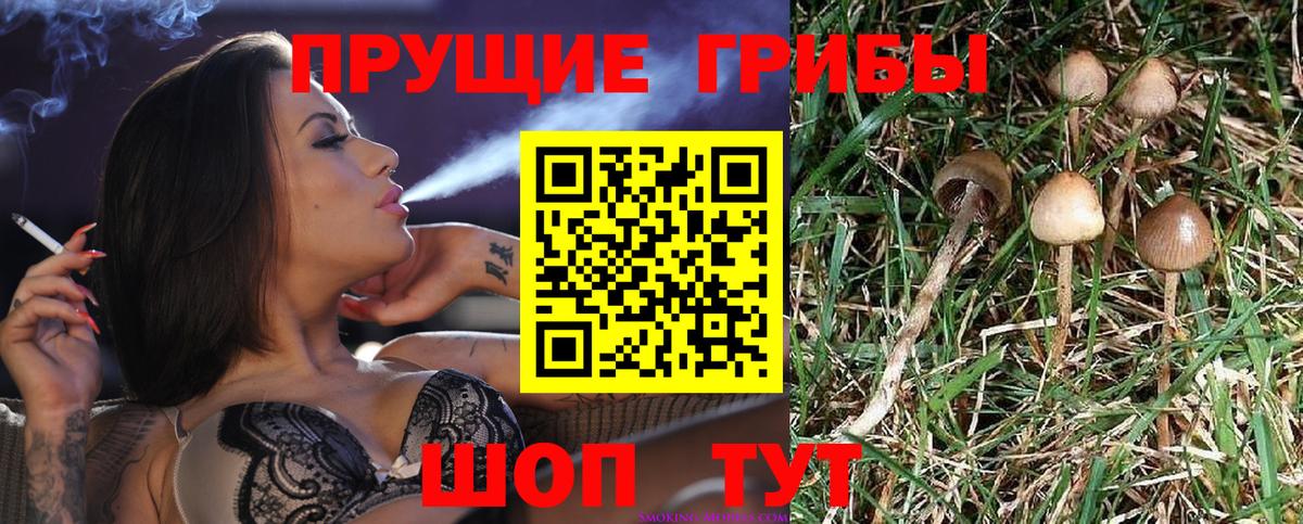 Галлюциногенные грибы мухоморы Лобня