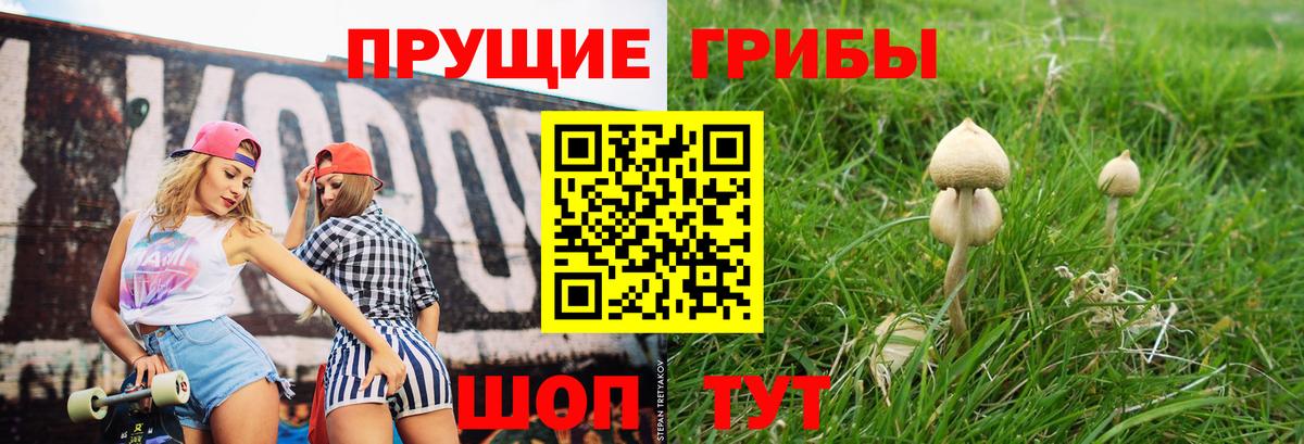 Галлюциногенные грибы GOLDEN TEACHER  Вход с VPN  Лобня 