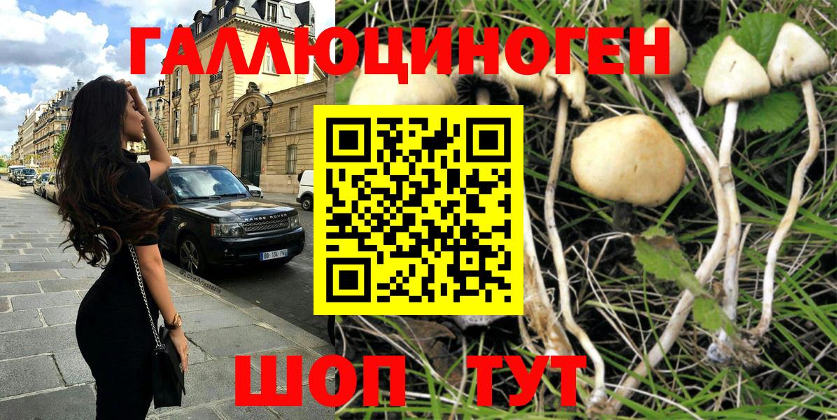 Псилоцибиновые грибы Magic Shrooms  как найти   Лобня  Псилоцибиновые грибы прущие грибы 